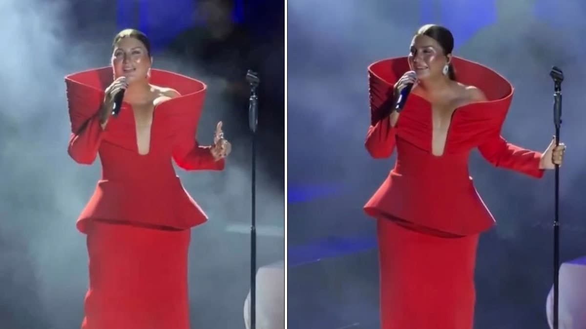 Sibel Can'ın sahne kostümü sosyal medyada tartışma yarattı